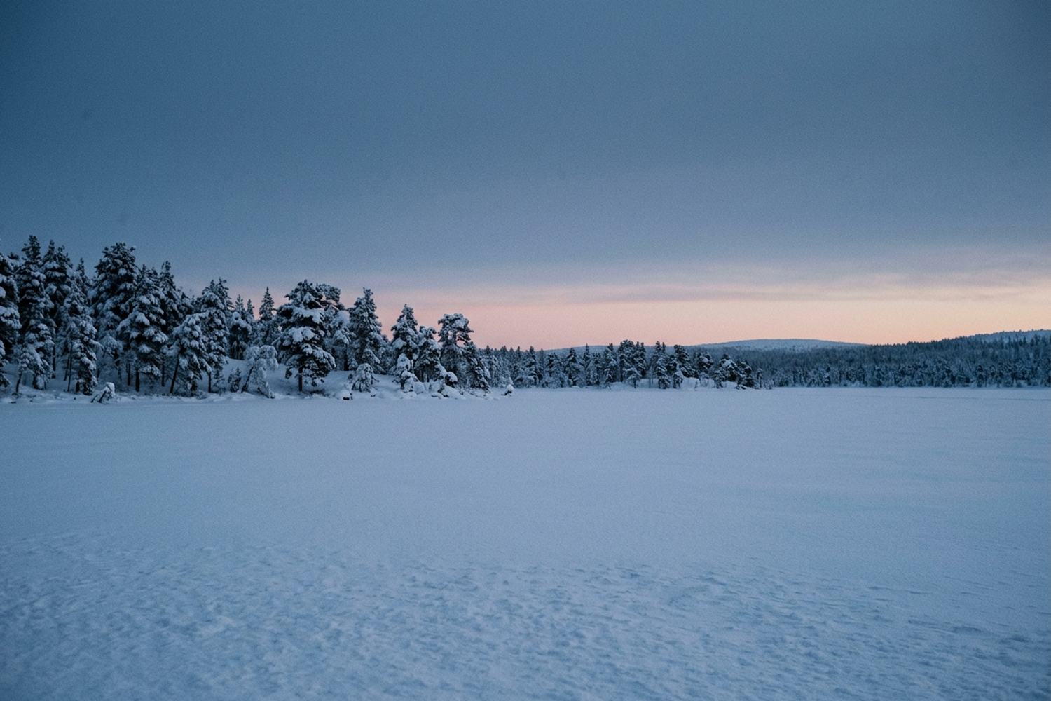 A frozen lake under deep snow at blue hour with laden pines on the far shore.